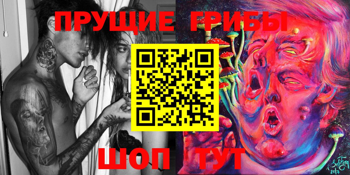 Галлюциногенные грибы GOLDEN TEACHER  купить наркоту  Псилоцибиновые грибы ЛСД  Кизилюрт  Вход с VPN 